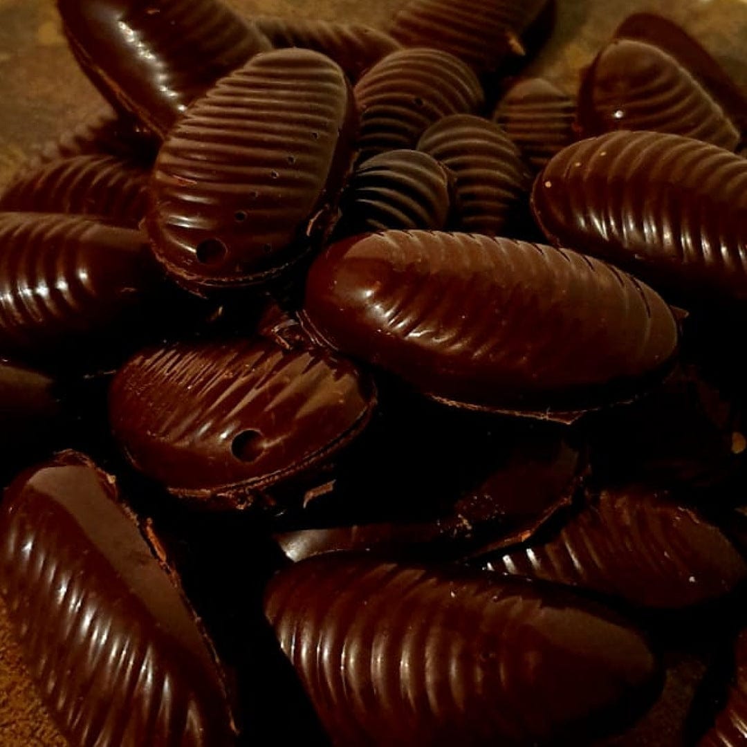 Moules de Bouchot en Chocolat